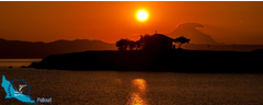 06-paliouri-sunrise-nikon2016-016419-850x340_1200x479-logo
