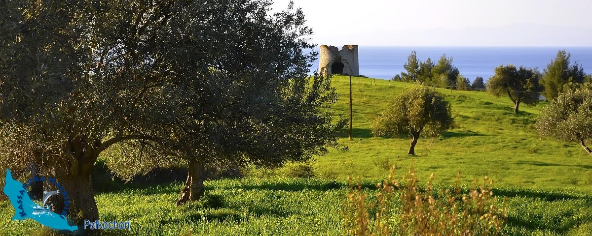 pefkochori-anemomylos-nikon2014-09955-850x340_1200x480-logo