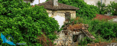 pefkochori-nikon2012-11646-ps-850x340_1200x480-logo
