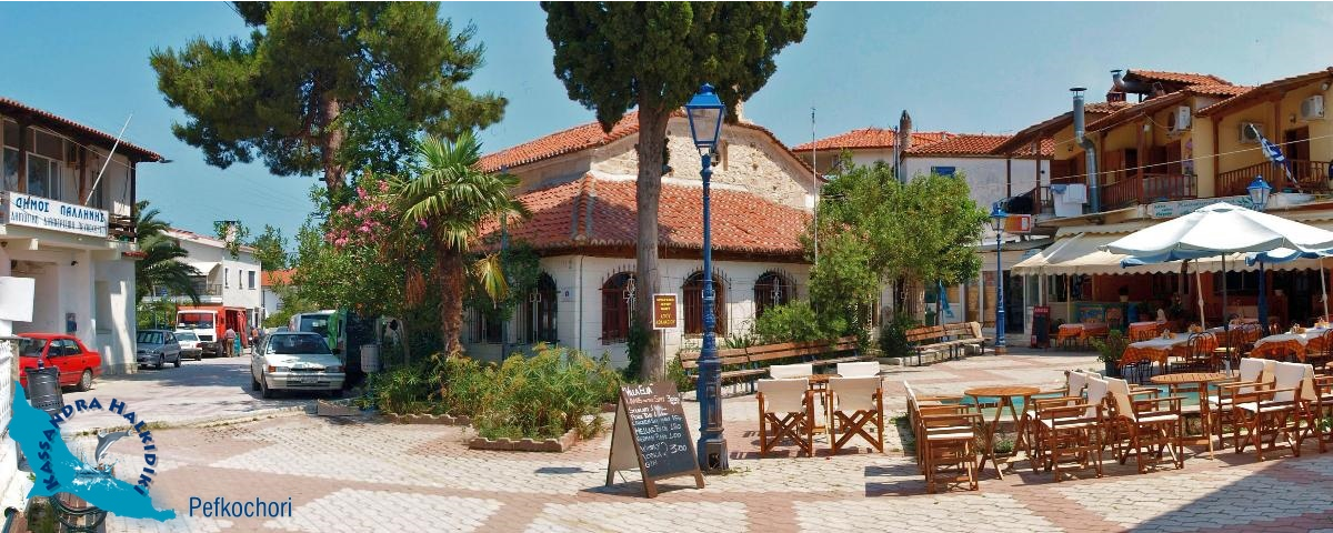 pefkochori-panorama-09-flash-850x340_1200x479-logo